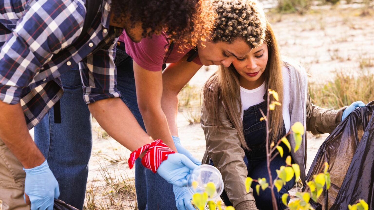 Environmental Conservation Programs 26 Canadian Volunteer Organizations Making Huge Change Locally ...